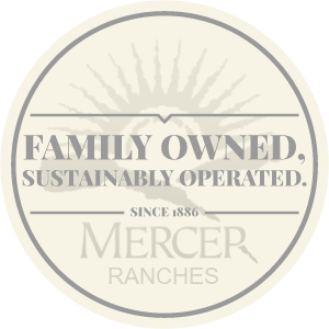 Family owned, award-winning wines, sustainably operated.