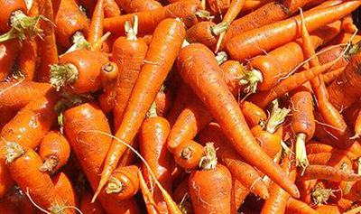 Mercer Carrots
